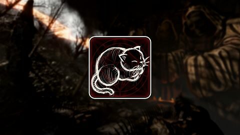 Le Conseil Miaoussique