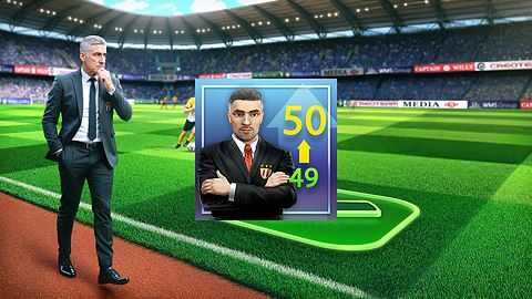 Manager expérimenté