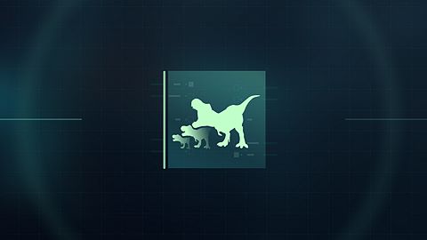 Cinquième génération