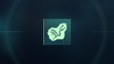 Vous ne lui ferez jamais quitter le Montana