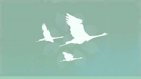 Farewell Not Forever