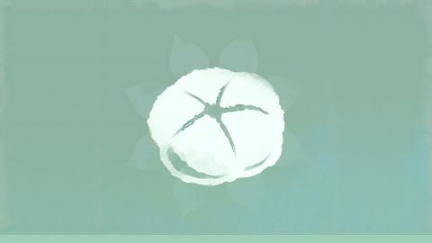 Xiaoxiao's First Kiss