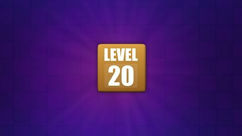 Level 20