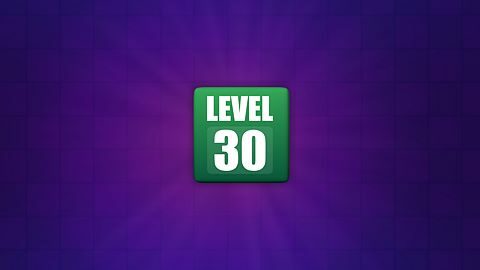 Level 30