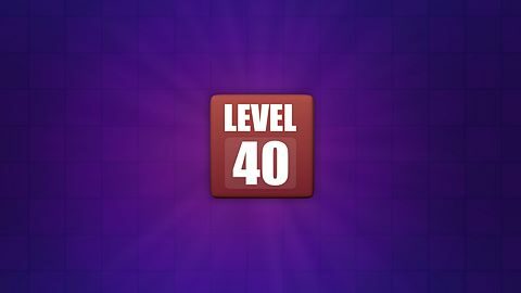 Level 40