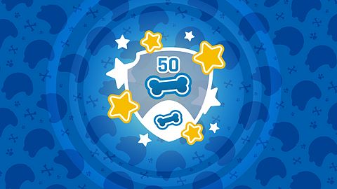 Champion des friandises d'arène !