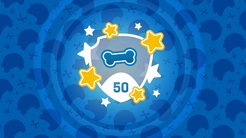 Collectionneur au poil !