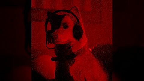 Le meilleur ami de l'homme