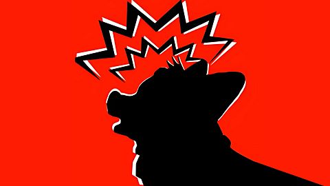 Bucky always face even the darkest dreams.