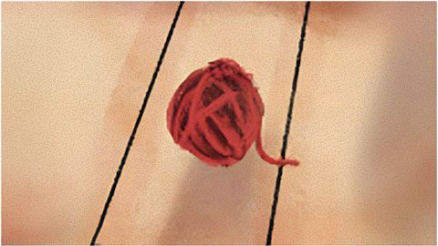 Grateful for the sunny day, right Neko?