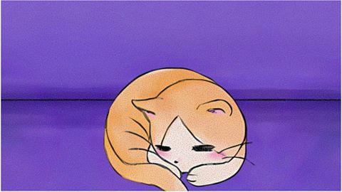 Happy for today. Home sweet home.