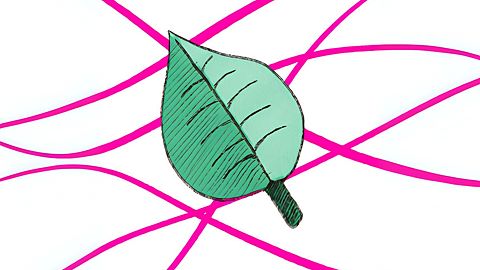 Our Bonds started that day...