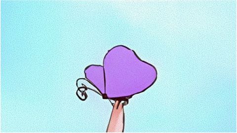 The butterfly came to us like magic…