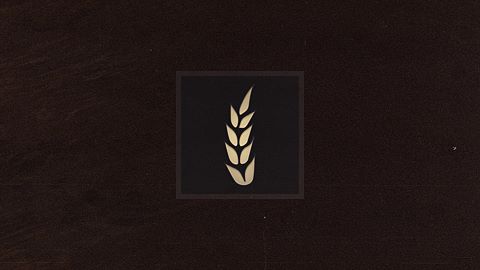 We Are All Citizens Of Sordland