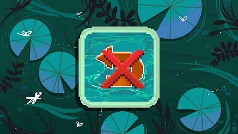 Amphibious Intuition