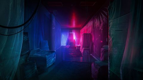 Cours, petit lapin !