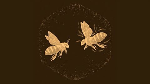 Danse révolutionnaire