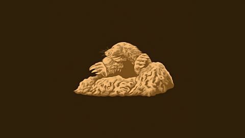 Des profondeurs de la terre