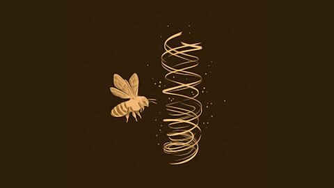 Je ne le ferai plus !