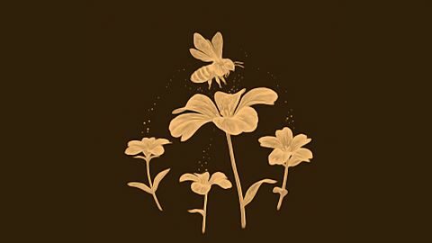 Le pouvoir des fleurs