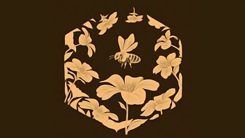 Prête pour la retraite