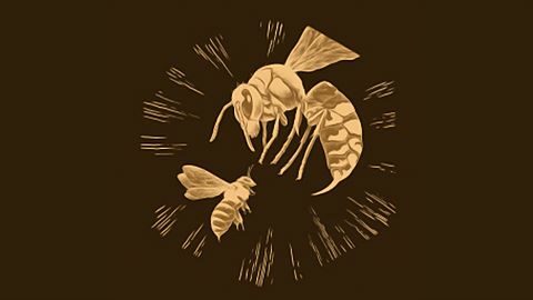 Tu ne passeras pas !