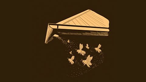 Un toit au-dessus de la tête