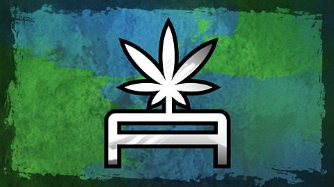 I can grow weed now?