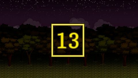 Level 13