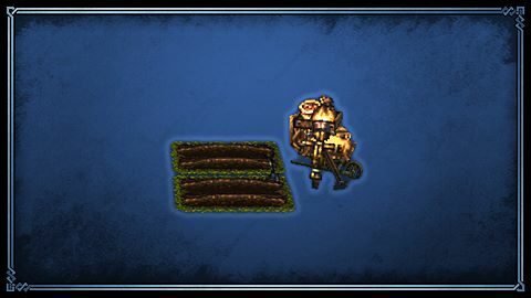 Freshly Grown Vegetables