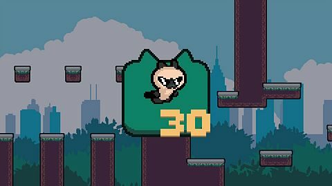 Cats Always Land on Their Feet