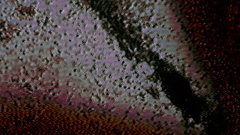 Disinfectant Compiler