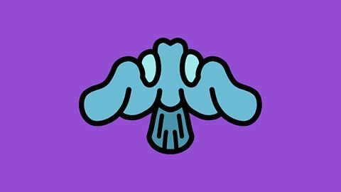 Eating some mushrooms