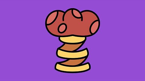 It was a very good year