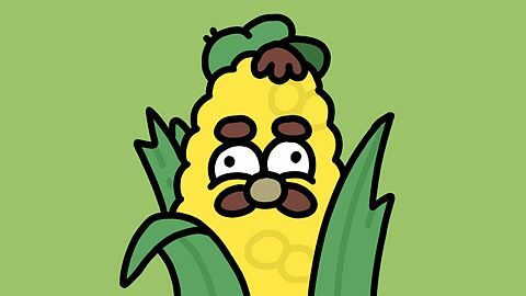 Jardin à l'anglaise