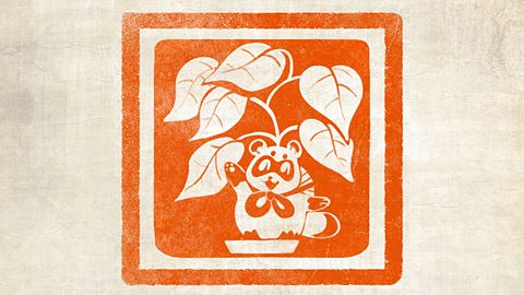 À la poursuite des tanuki