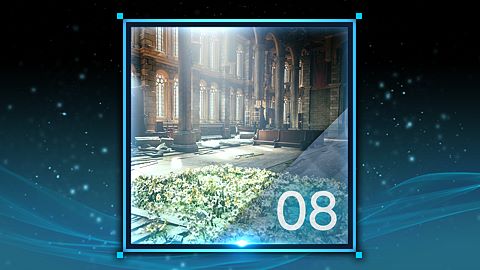 Les fleurs des retrouvailles