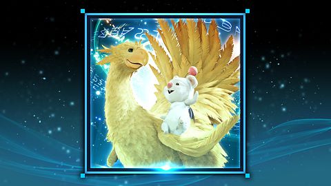 Professionnel de l'entretien