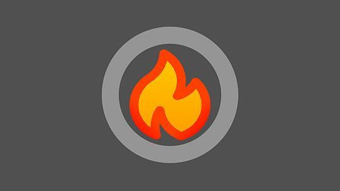 Consistency Champion