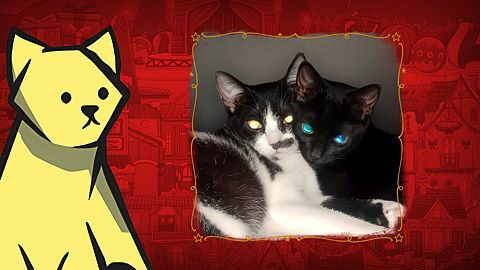 Found Mortícia and Ophelia