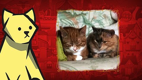 Found Puzzle and Ginger