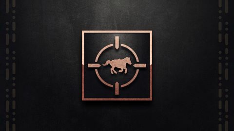 Contrôle des animaux