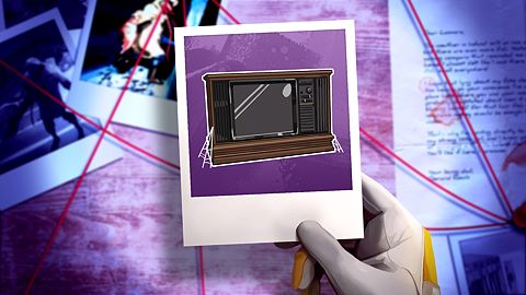 Admirateur d'antiquités