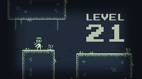 Level 21