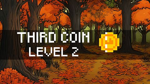 Third Coin Level 2