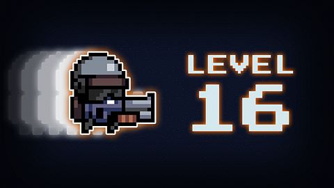 Level 16