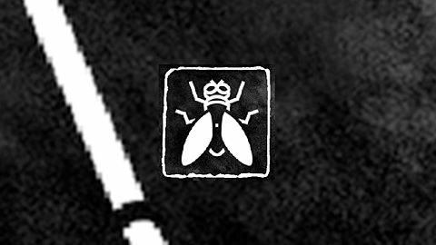 Seigneur des Mouches