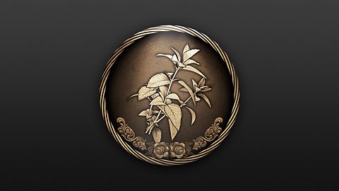 Je ne touche pas à ça