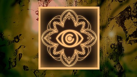 Sentinelles silencieuses