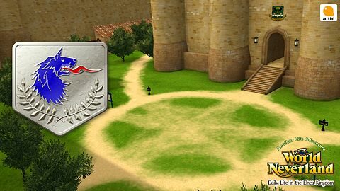 Captain of the Imperial Knights